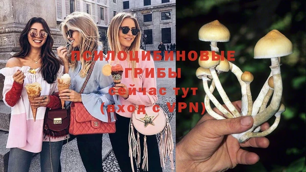 синтетический гашиш Богородицк